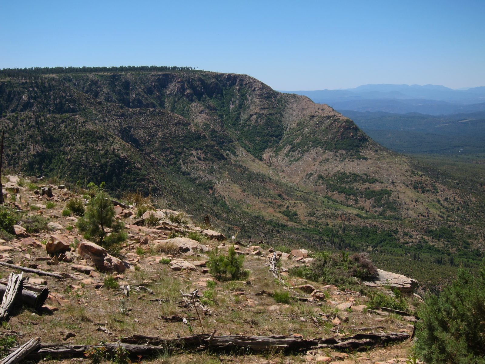 Just another standard gorgeous view of the scenery.